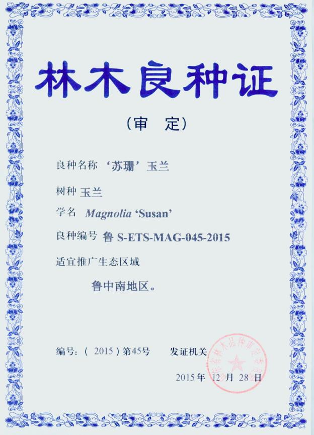 12 .林木良种-‘苏珊’玉兰